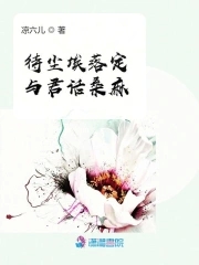 尘埃落定表达什么意思